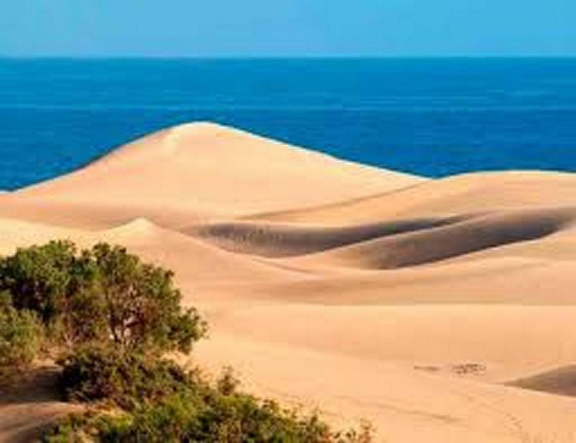 Bungalow Duna Flor Maspalomas Maspalomas  Bagian luar foto